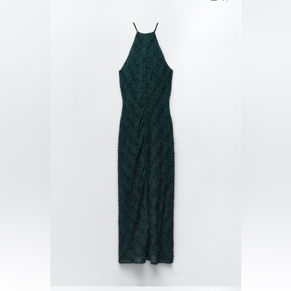 ZARA Long Dress